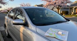 overestimating yearly travel costs