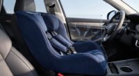 pet travel safety solutions