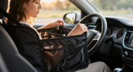 8 Best Car Seat Organizers in 2026