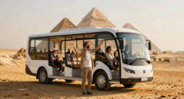 Egypt transforms Giza: ends camel rides and opts for a sustainable tourism model