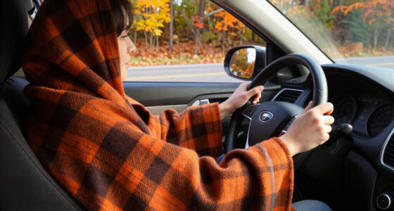 7 Best Car Seat Covers For Fall In 2026